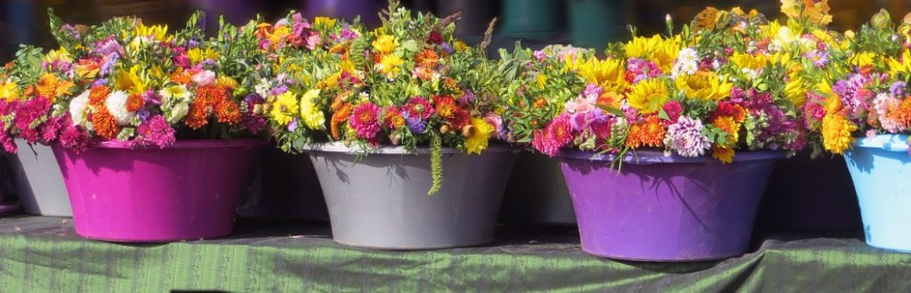 Flowers in colorful pots