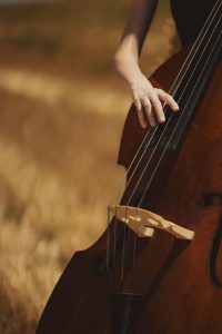 musical instrument